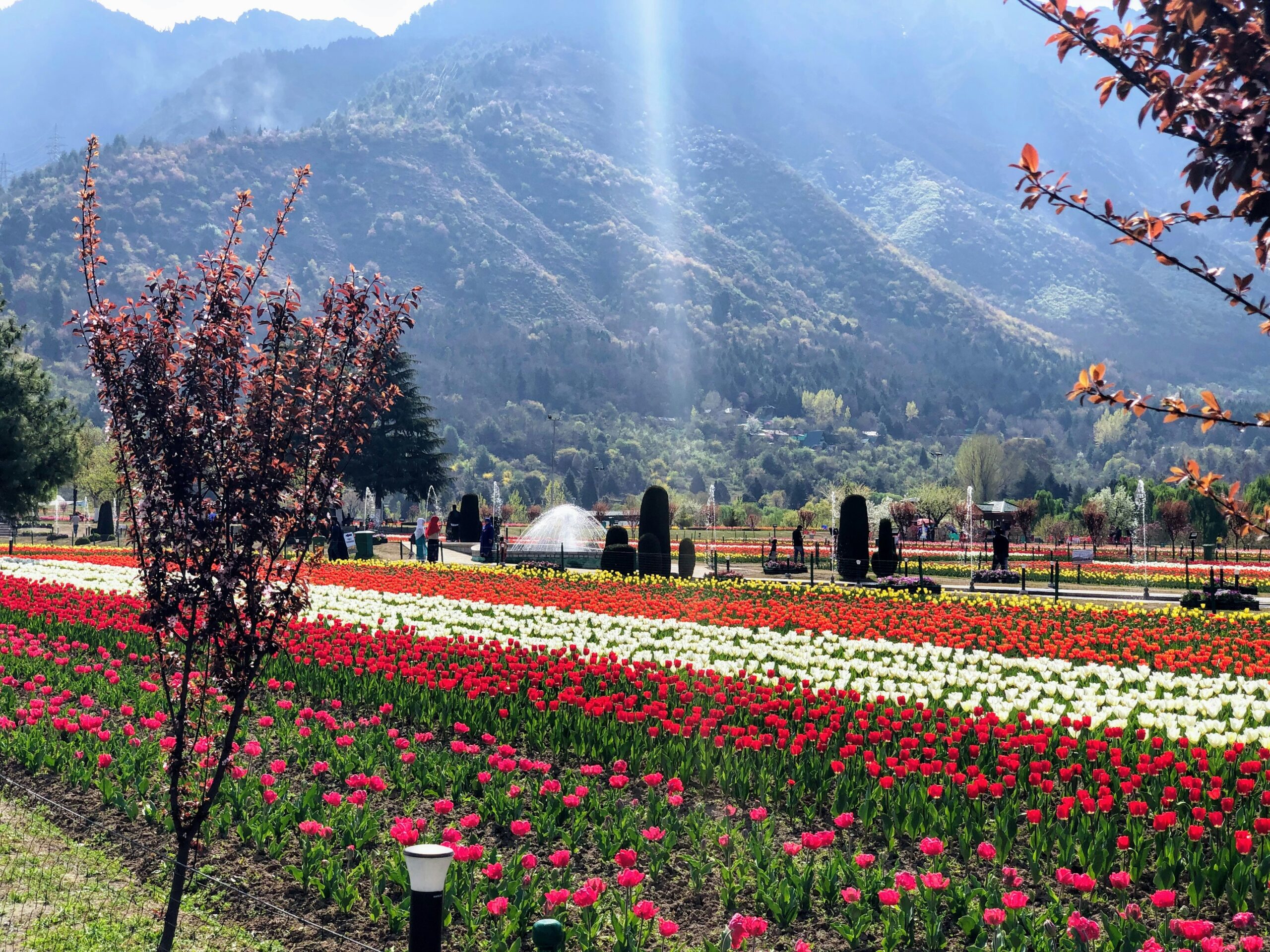 Go Weekend - Kashmir 1