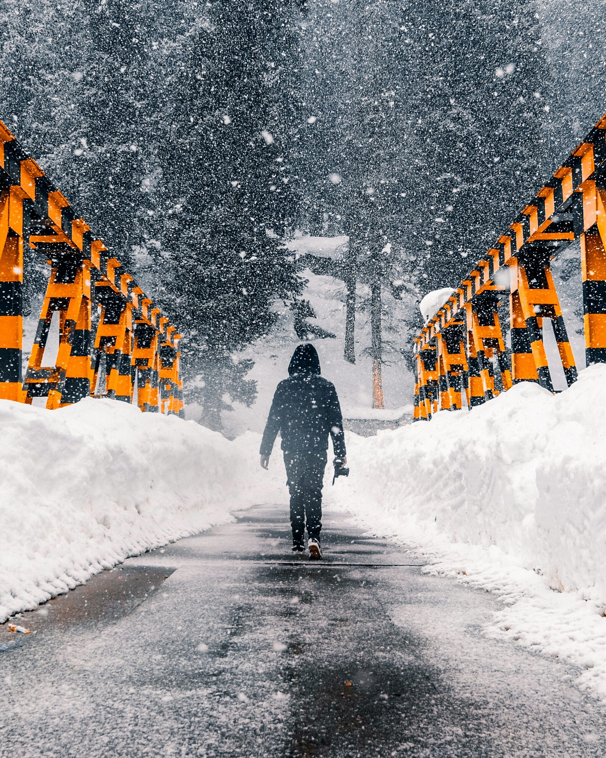 Customizable and best travel packages