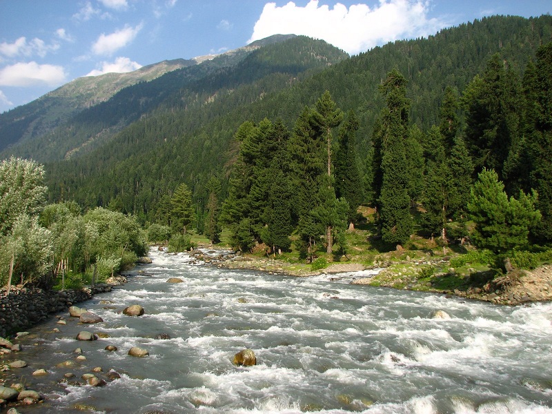 pahalgam-for-honeymoon (1)