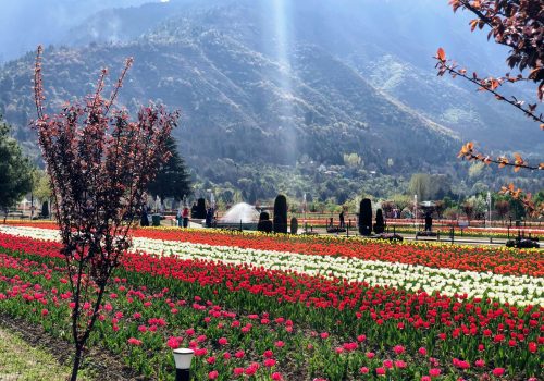 Go Weekend - Kashmir 1