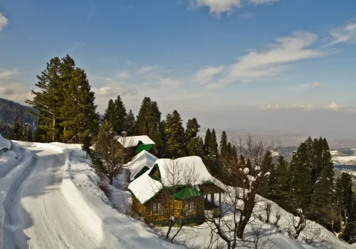 Patnitop_Jammu-And-Kashmir-India_charzan_holidays