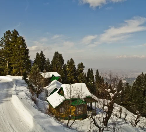 Patnitop_Jammu-And-Kashmir-India_charzan_holidays