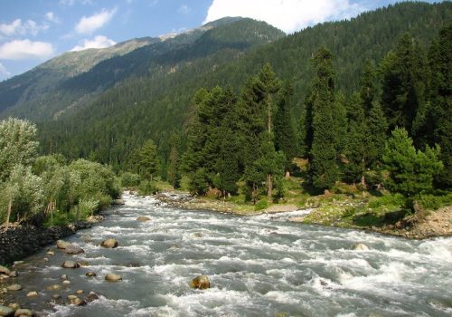 pahalgam-for-honeymoon (1)
