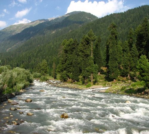 pahalgam-for-honeymoon (1)