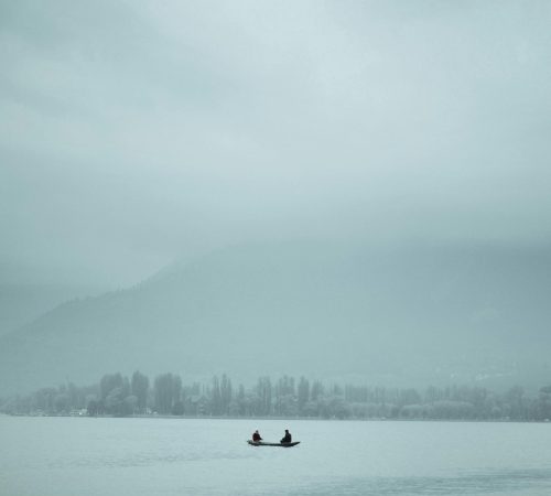 pexels-wanderinglenses-16468605